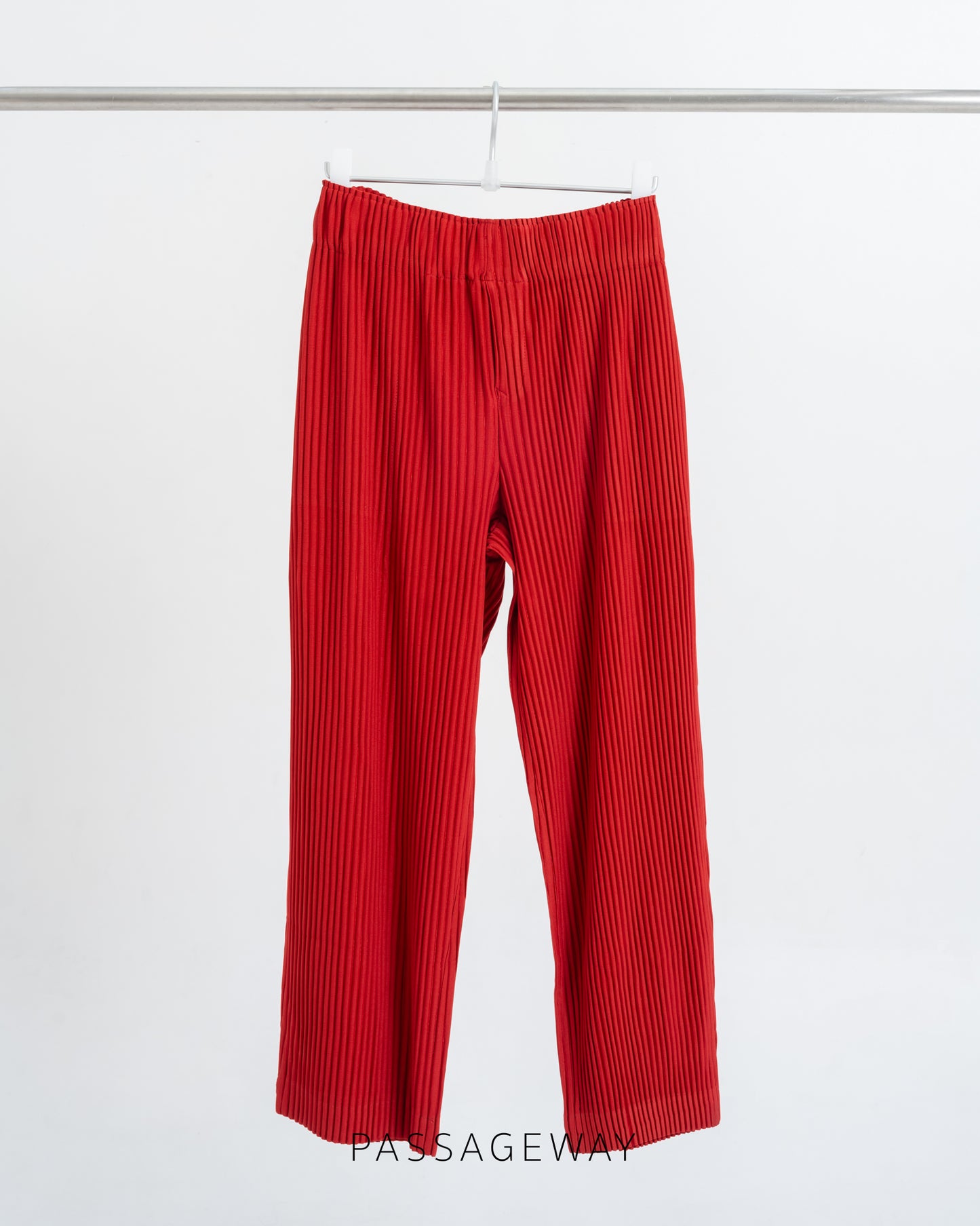 Pleated Trousers