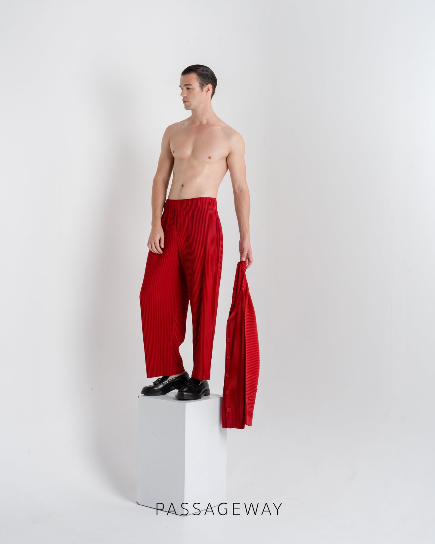Pleated Trousers