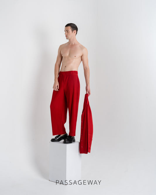 Pleated Trousers